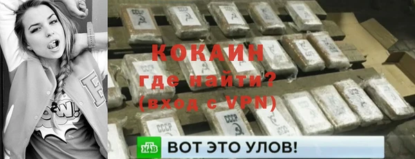 бошки Каменногорск