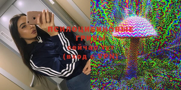 соль курить ск Каменка