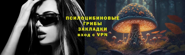 бошки Каменногорск