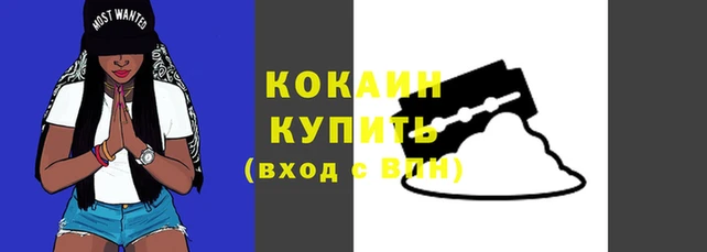соль курить ск Каменка