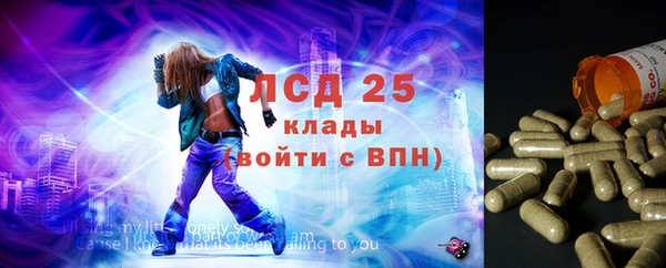 соль курить ск Каменка
