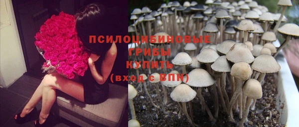 бошки Каменногорск