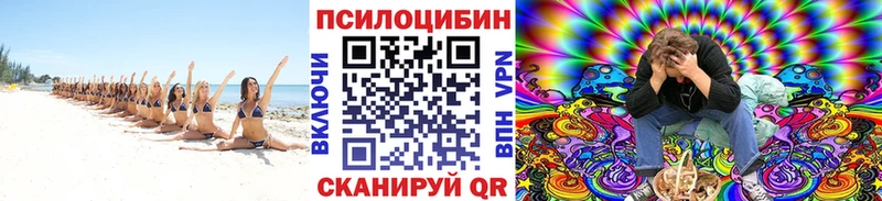 Псилоцибиновые грибы Psilocybine cubensis  Купить закладки  Волгореченск 