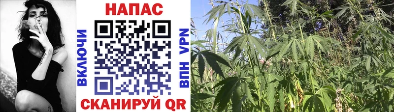 Марихуана White Widow Волгореченск